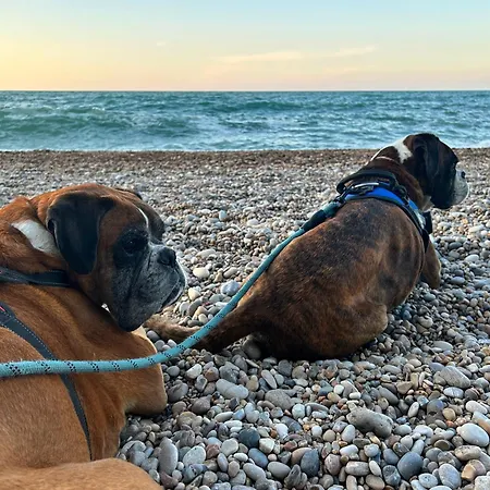 Apartament Angolo Di Paradiso Perla Turchino San Vito Chietino